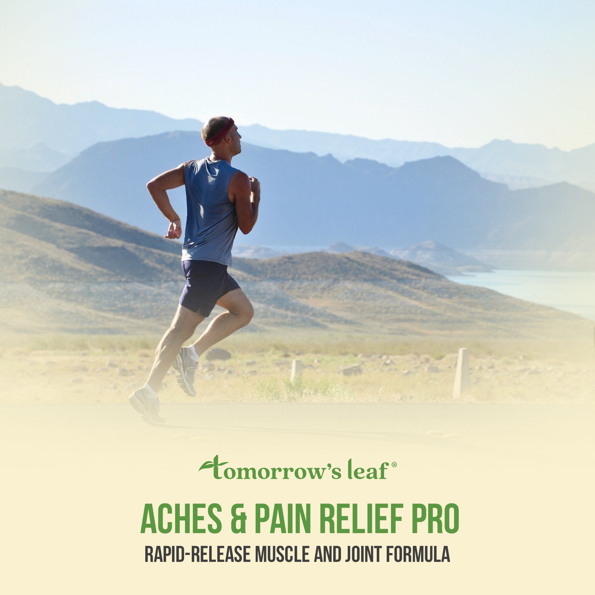 Pain Relief Pro